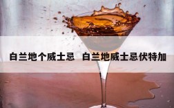 白兰地个威士忌  白兰地威士忌伏特加