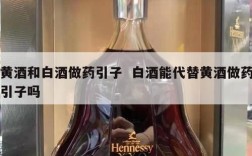 黄酒和白酒做药引子  白酒能代替黄酒做药引子吗
