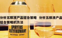分析五粮液产品组合策略  分析五粮液产品组合策略的方法