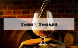 茅台酒牌子  茅台所有品牌