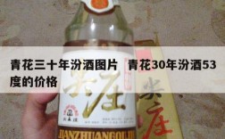 青花三十年汾酒图片  青花30年汾酒53度的价格