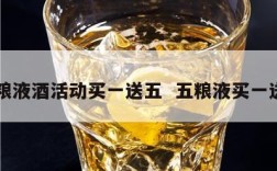 五粮液酒活动买一送五  五粮液买一送一