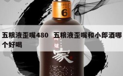 五粮液歪嘴480  五粮液歪嘴和小郎酒哪个好喝