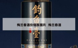 梅兰春酒价格和图片  梅兰舂酒