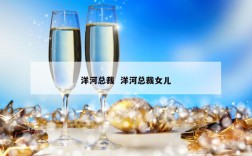洋河总裁  洋河总裁女儿