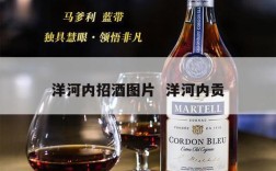 洋河内招酒图片  洋河内贡