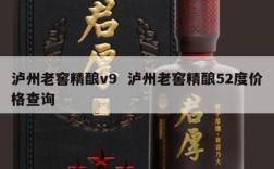 泸州老窖精酿v9  泸州老窖精酿52度价格查询