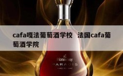 cafa嘎法葡萄酒学校  法国cafa葡萄酒学院