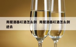 用醒酒器红酒怎么倒  用醒酒器红酒怎么倒进去