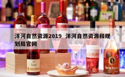 洋河自然资源2019  洋河自然资源和规划局官网