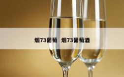 烟73葡萄  烟73葡萄酒