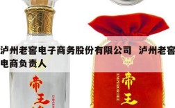 泸州老窖电子商务股份有限公司  泸州老窖电商负责人