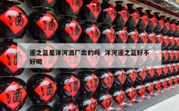 邃之蓝是洋河酒厂出的吗  洋河邃之蓝好不好喝