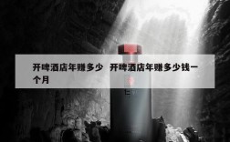 开啤酒店年赚多少  开啤酒店年赚多少钱一个月