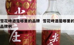 雪花啤酒是哪里的品牌  雪花啤酒是哪里的品牌啊