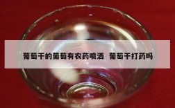 葡萄干的葡萄有农药喷洒  葡萄干打药吗