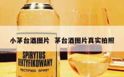 小茅台酒图片  茅台酒图片真实拍照