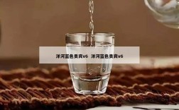洋河蓝色贵宾v6  洋河蓝色贵宾v6