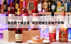 白兰地个威士忌  白兰地威士忌哪个好喝