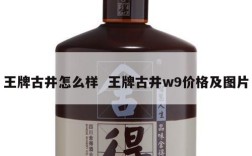 王牌古井怎么样  王牌古井w9价格及图片