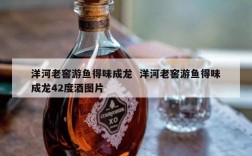 洋河老窖游鱼得味成龙  洋河老窖游鱼得味成龙42度酒图片
