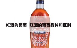 红酒的葡萄  红酒的葡萄品种和区别