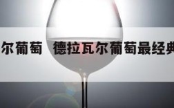 德拉瓦尔葡萄  德拉瓦尔葡萄最经典的5个品种