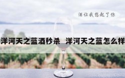 洋河天之蓝酒秒杀  洋河天之蓝怎么样