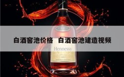 白酒窖池价格  白酒窖池建造视频