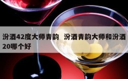汾酒42度大师青韵  汾酒青韵大师和汾酒20哪个好