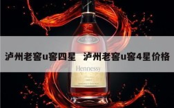 泸州老窖u窖四星  泸州老窖u窖4星价格