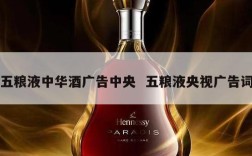 五粮液中华酒广告中央  五粮液央视广告词