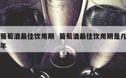 葡萄酒最佳饮用期  葡萄酒最佳饮用期是几年