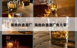 海南白酒酒厂  海南白酒酒厂有几家