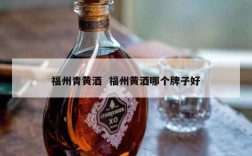 福州青黄酒  福州黄酒哪个牌子好