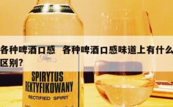 各种啤酒口感  各种啤酒口感味道上有什么区别?