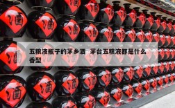 五粮液瓶子的茅乡酒  茅台五粮液都是什么香型