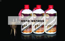 葡萄汽酒  葡萄汽酒是指