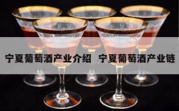 宁夏葡萄酒产业介绍  宁夏葡萄酒产业链