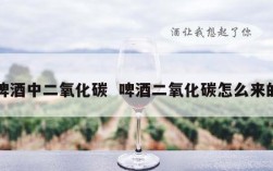 啤酒中二氧化碳  啤酒二氧化碳怎么来的