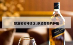 酿酒葡萄种植区_酿酒葡萄的种植