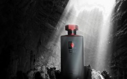 啤酒糟是什么原料「啤酒糟用途」