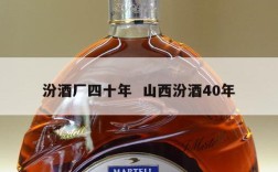 汾酒厂四十年  山西汾酒40年