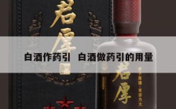 白酒作药引  白酒做药引的用量