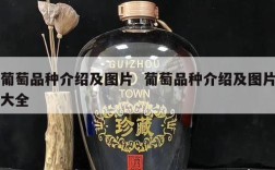 葡萄品种介绍及图片  葡萄品种介绍及图片大全