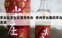 茅台在茅台龙酒发布会  贵州茅台集团茅台龙酒