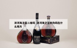 洋河海之蓝二维码  洋河海之蓝防伪码在什么地方