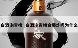 白酒泡青梅  白酒泡青梅会爆炸吗为什么