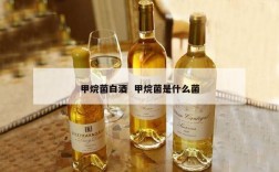 甲烷菌白酒  甲烷菌是什么菌