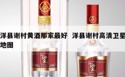 洋县谢村黄酒那家最好  洋县谢村高清卫星地图